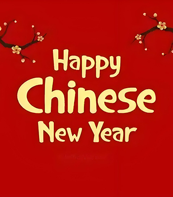 Chinese Traditional Spring Festival 2020